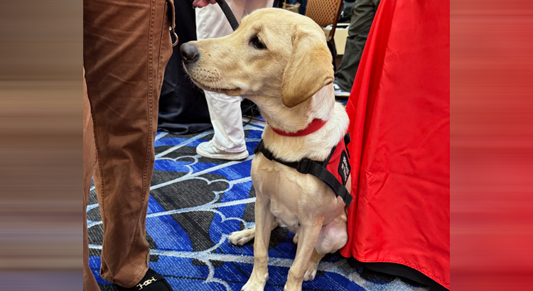 Meet “Radio” the Service Dog at CES – Radio World